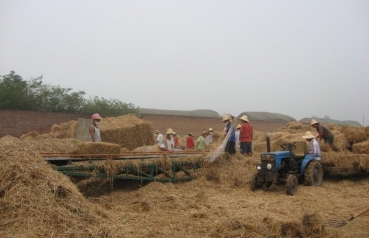 The production of fibreboards from straw